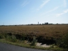 marais4