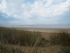 dune 2