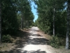 foret 1