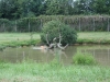 planete sauvage 8