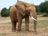 planete sauvage 14